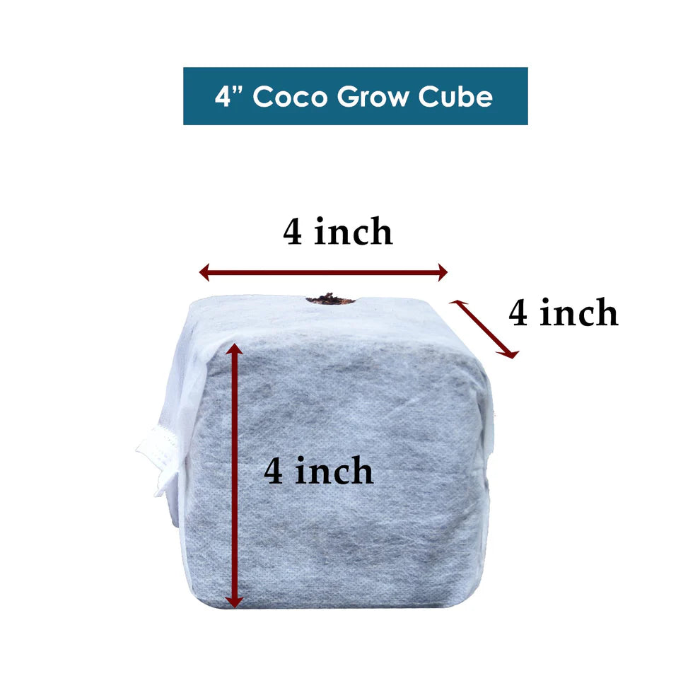GroEzy™ 4" Coco Grow Cubes