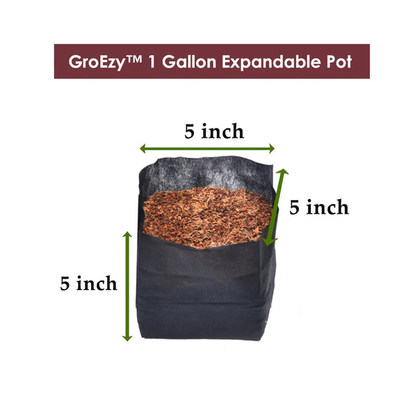 GroEzy™ 1 Gallon Expandable Pot