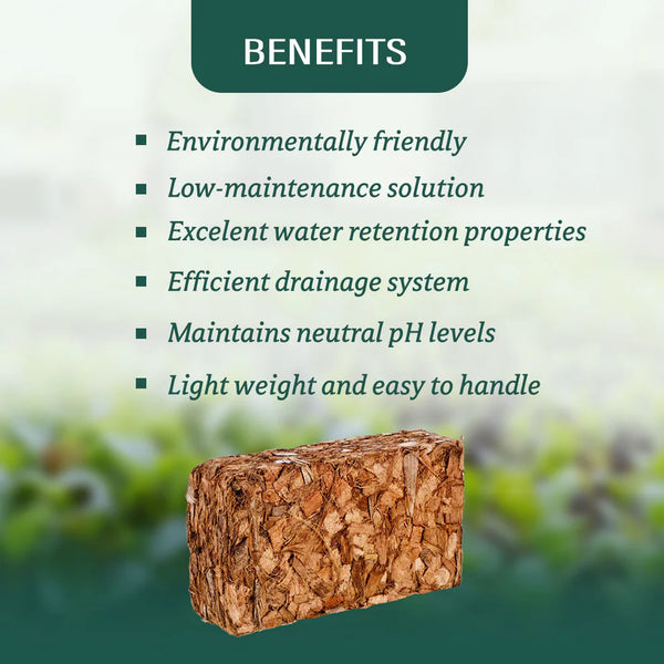 Pure Coco Chips Compressed Chips 650 grams Brick