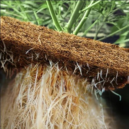 GroMat 8"x8"x1" coco grow mat