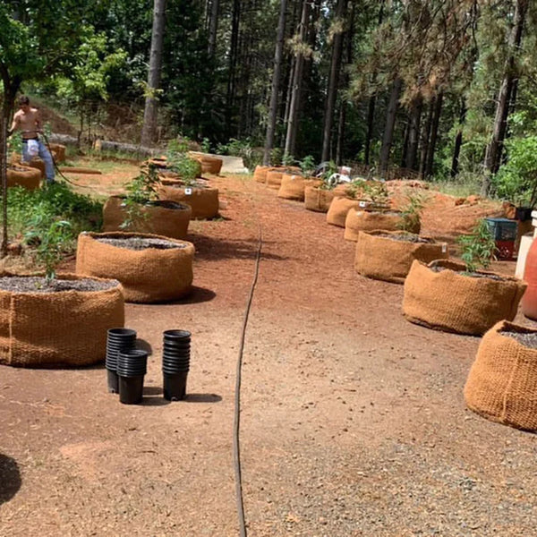 CoirNet 45 Gallon coir pot