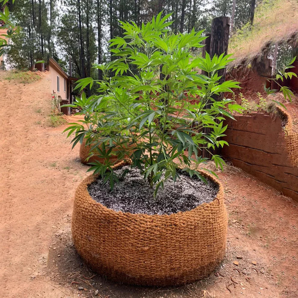 CoirNet 400 Gallon pot (5 Pot bundle)