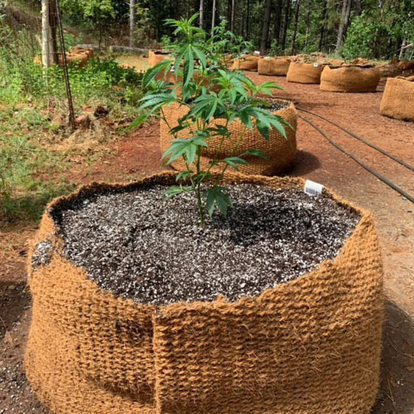 CoirNet 65 Gallon coir pot