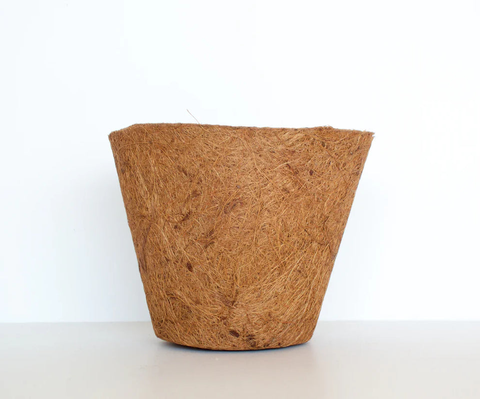 Coco Pot