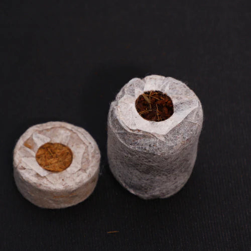 Pure Rooters - 30MM Coco Plugs/Pellets
